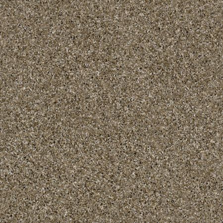 Shaw Floors Simply The Best Frosting Dirt Road