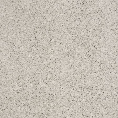 Shaw Floors Value Collections Origins II Net Mist