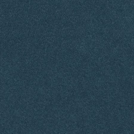 Shaw Floors Value Collections Origins II Net Bayside