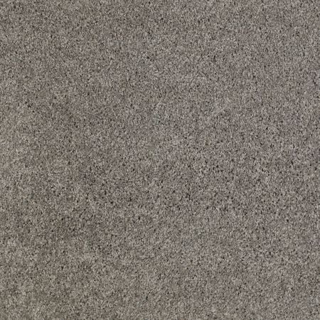 Shaw Floors Value Collections Origins II Net Battleship