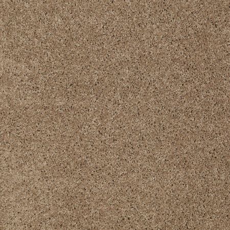 Shaw Floors Value Collections Origins II Net Briar