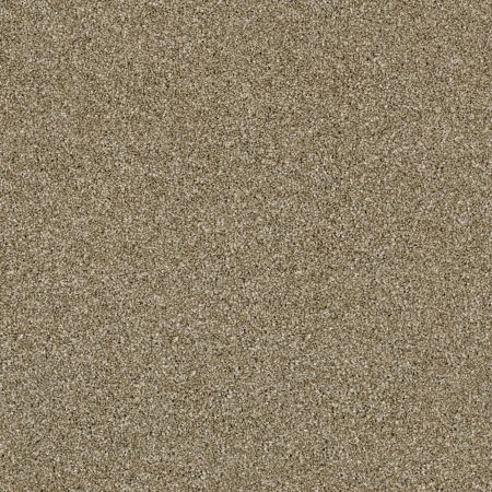 Shaw Floors Simply The Best Of Course We Can II 15' Biscotti