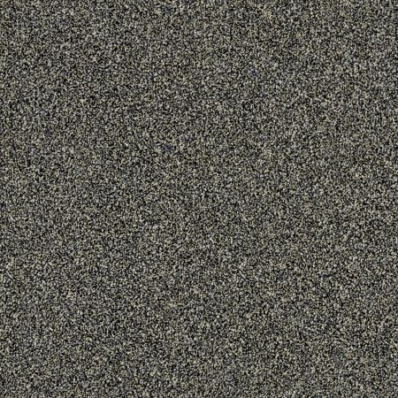 Shaw Floors Simply The Best Of Course We Can III 15' Marina