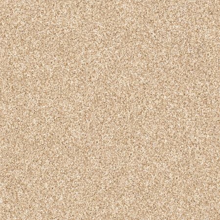 Shaw Floors Value Collections Palette Net Summer Straw