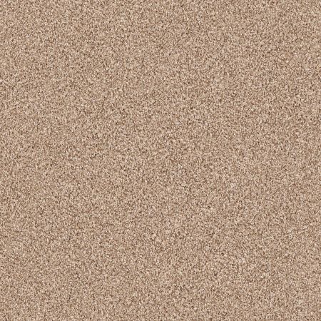 Shaw Floors Value Collections Palette Net Caravan