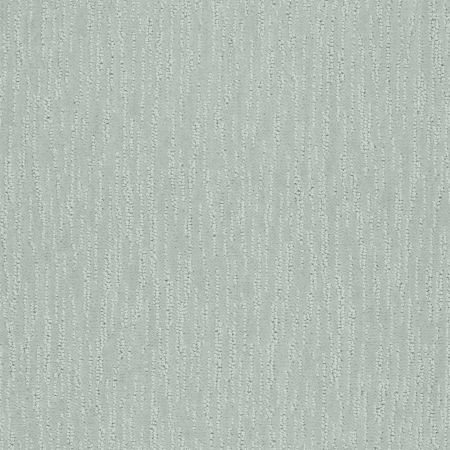 Shaw Floors Value Collections Parallel Net Ub Silver