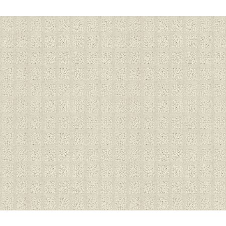 Shaw Floors Value Collections Blocking Net Ub Cream