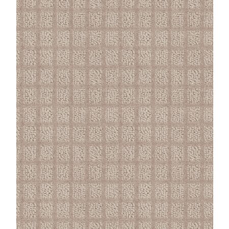 Shaw Floors Value Collections Blocking Net Ub Walnut