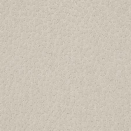 Shaw Floors Value Collections Lattice Net Ub Cream