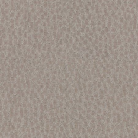 Shaw Floors Value Collections Lattice Net Ub Walnut