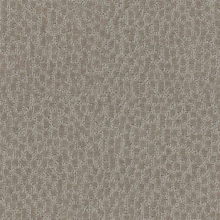 Shaw Floors Value Collections Lattice Net Ub Bronze