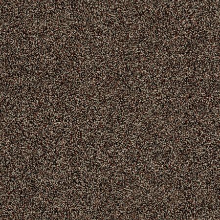 Shaw Floors Work Your Magic Manor House