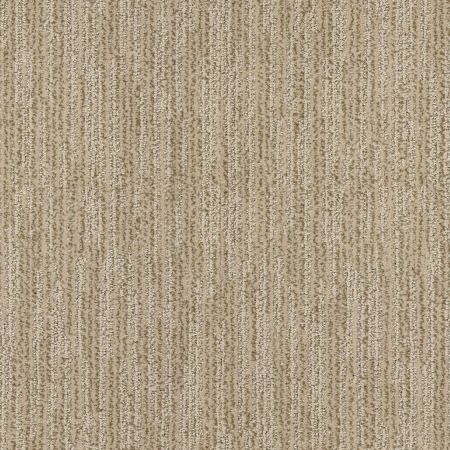 Shaw Floors Value Collections Highlighter Net Ale