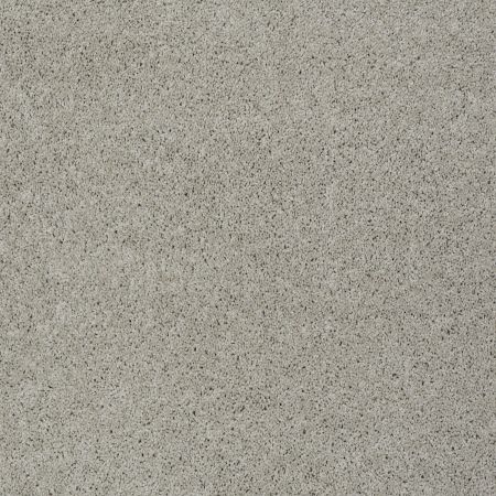 Shaw Floors Value Collections My Choice I Net Textured Canvas
