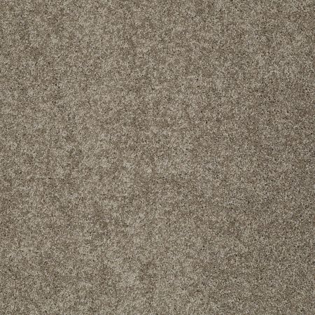 Shaw Floors Value Collections My Choice I Net Flax