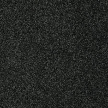 Shaw Floors Value Collections My Choice II Net Peaceful Garden