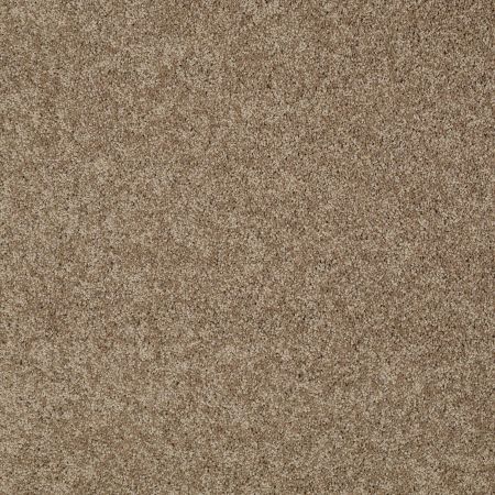 Shaw Floors Value Collections My Choice II Net Saffron