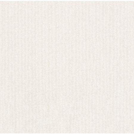 Shaw Floors Pet Perfect Plus Outside The Lines Super Fine