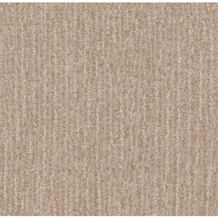 Shaw Floors Pet Perfect Plus Outside The Lines Toast