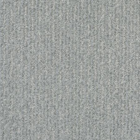 Shaw Floors Pet Perfect Plus Outside The Lines Peaceful