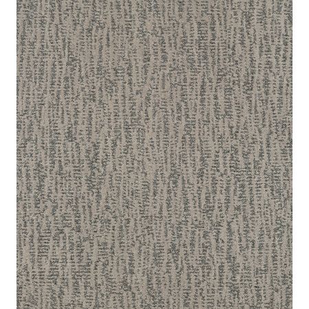 Shaw Floors Pet Perfect Plus Obvious Choice Sterling