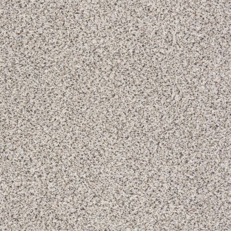 Shaw Floors Value Collections Gold Texture Accents Net Carrara