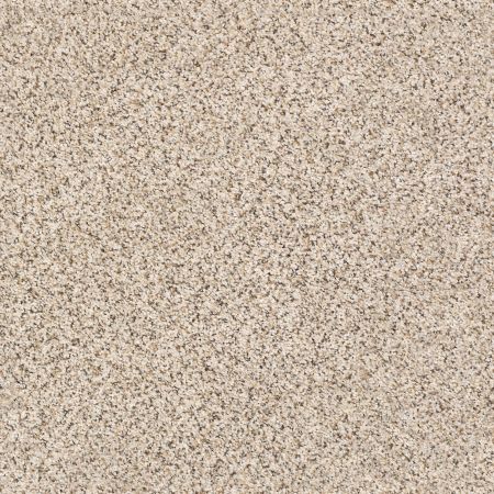 Shaw Floors Foundations Elemental Mix I Net Horizon