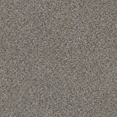 Shaw Floors Foundations Elemental Mix I Net Antique Pin