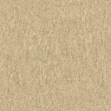 Shaw Floors Foundations Natural Balance 15 Net Jute