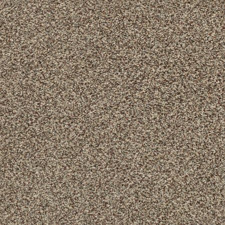 Shaw Floors Pet Perfect Plus Perpetual I Freckles