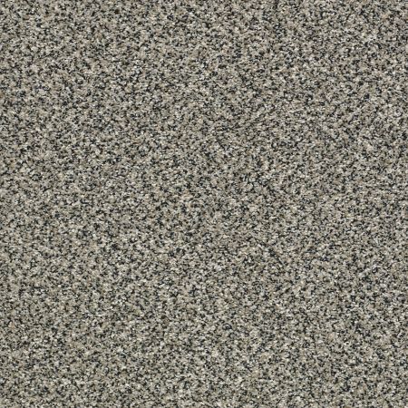 Shaw Floors Pet Perfect Plus Perpetual I Shadow