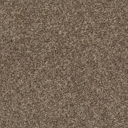 Shaw Floors Shake It Up (t) Rodeo