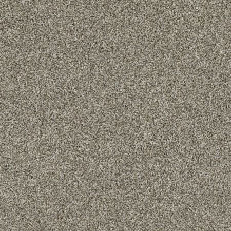 Shaw Floors Shake It Up (t) Barely There