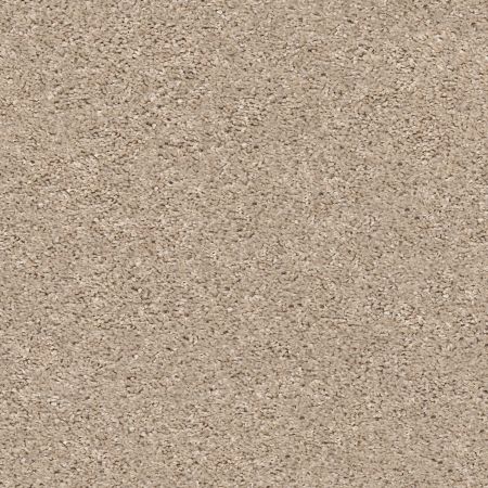 Shaw Floors Shake It Up (s) Breeze