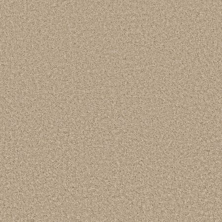 Shaw Floors Shake It Up (s) Sweet As Honey