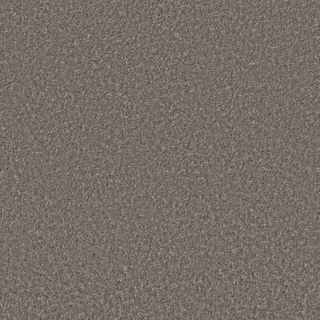 Shaw Floors Shake It Up (s) Monument