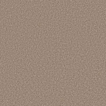 Shaw Floors Shake It Up (s) Morning Latte