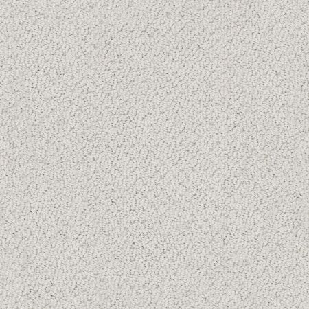 Shaw Floors Foundations Smart Thinking Silver Charm