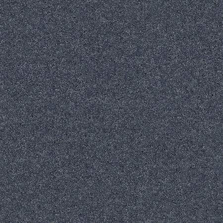 Shaw Floors Foundations Keen Senses I Net Royal Navy