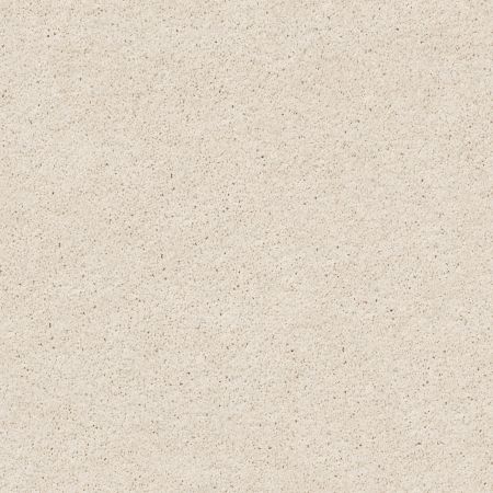 Shaw Floors Foundations Keen Senses II Net Alabaster