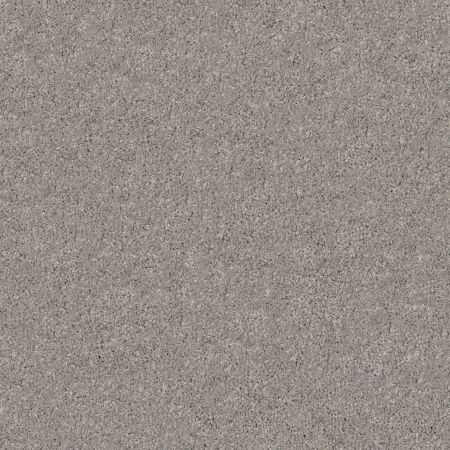 Shaw Floors Foundations Keen Senses II Net Slate