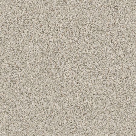 Shaw Floors Foundations Make It Work Net Nature's Essentials