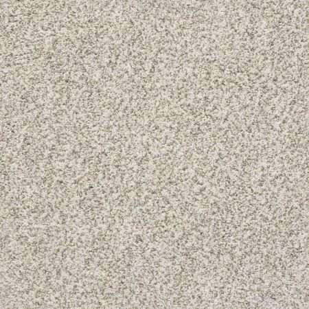 Shaw Floors Foundations Make It Work Net Ambiance