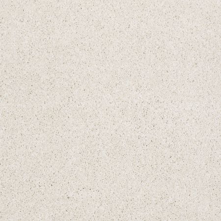 Shaw Floors Foundations Always Ready I Net Sentimental