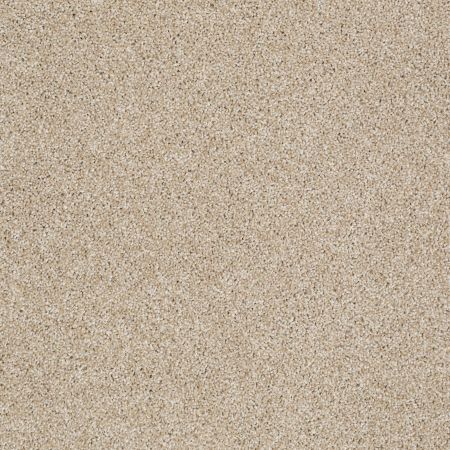 Shaw Floors Foundations Always Ready I Net Gold Rush