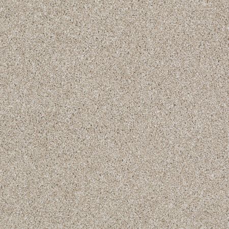 Shaw Floors Foundations Always Ready I Net Biscotti