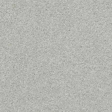 Shaw Floors Foundations Always Ready II Net Vapor