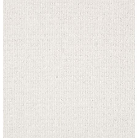 Shaw Floors Foundations Sensible Now Net White Hot