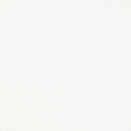 Shaw Floors Foundations Infallible Instinct Net White Hot