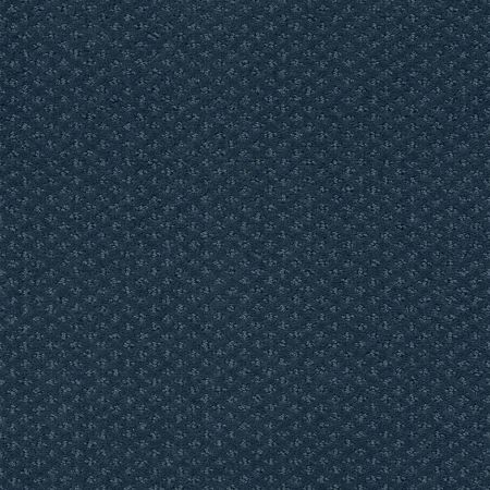 Shaw Floors Foundations Infallible Instinct Net Modern Spaces